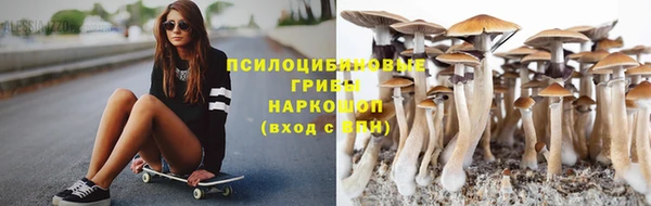 apvp Балахна