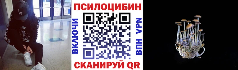Псилоцибиновые грибы мухоморы  Губаха 